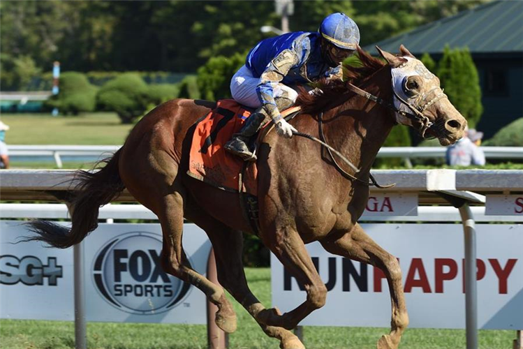 Mystic Guide winning the G2 Jim Dandy at Saratoga