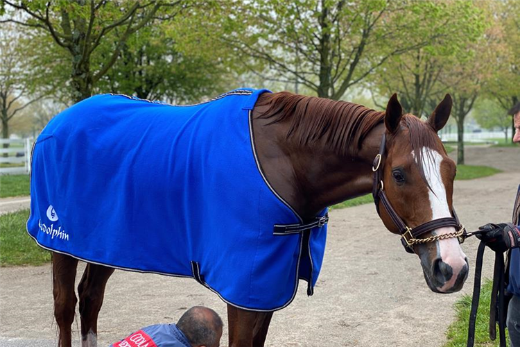 Mystic Guide at Keeneland