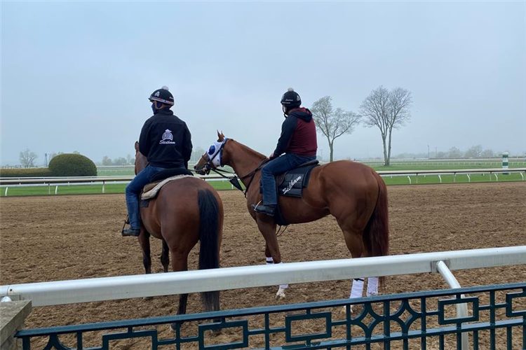 Mystic Guide training at Keeneland