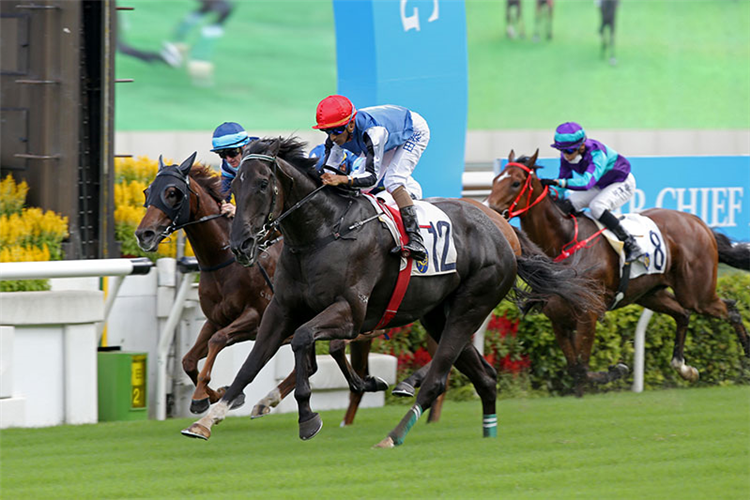 NABOO ATTACK winning the Hksar Chief Executive's Cup-C1