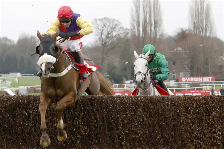 NATIVE RIVER winning the Virgin Bet Cotswold Chase (Grade 2) (GBB Race)