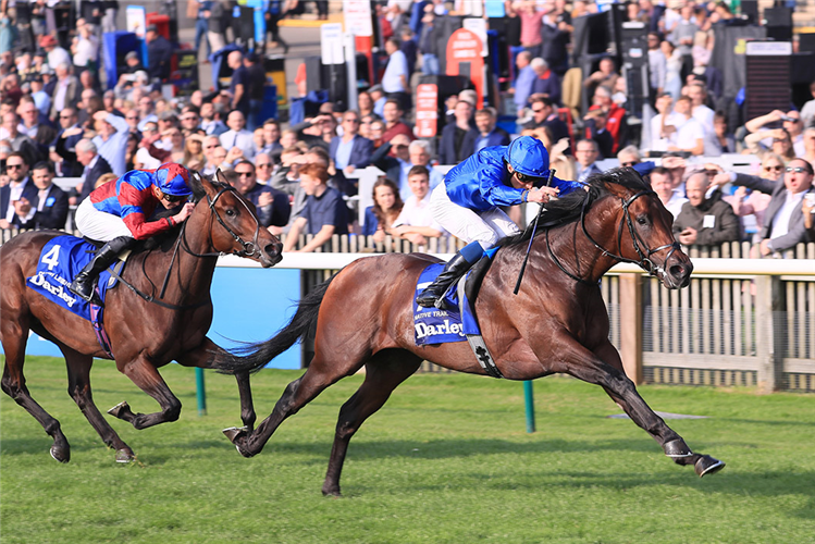 NATIVE TRAIL winning the Dewhurst Stakes.