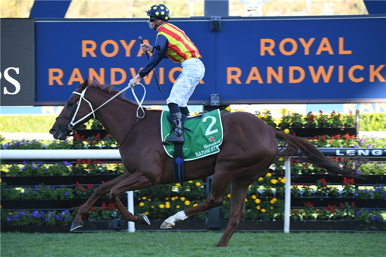 NATURE STRIP winning the TJ Smith Stks at Randwick in Australia.