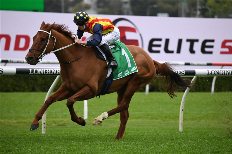 NATURE STRIP winning the Tab Concorde Stakes at Randwick in Australia.