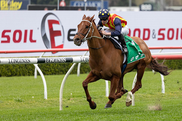 NATURE STRIP winning the Tab Concorde Stakes