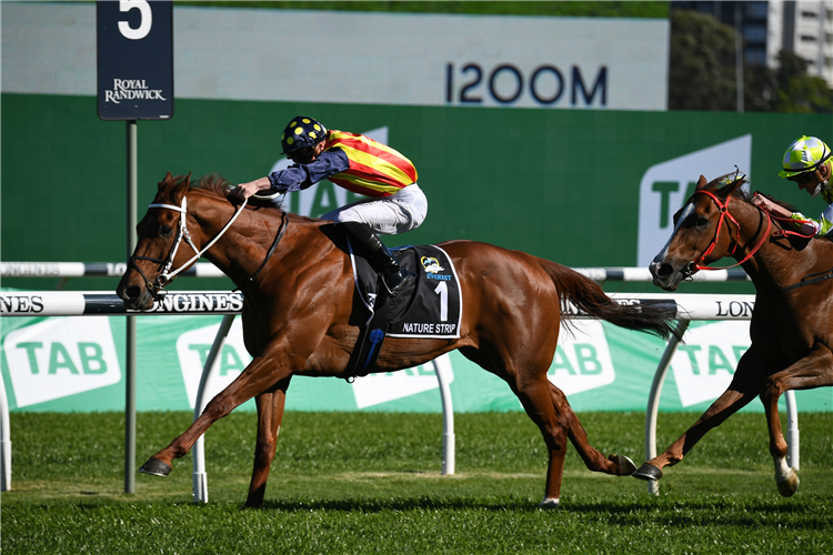 NATURE STRIP winning the The Tab Everest at Randwick in Australia.