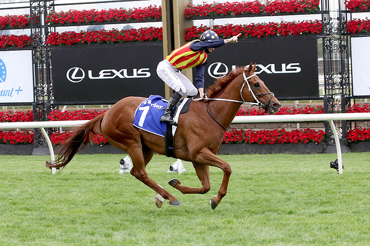 NATURE STRIP winning the Darley Sprint Classic