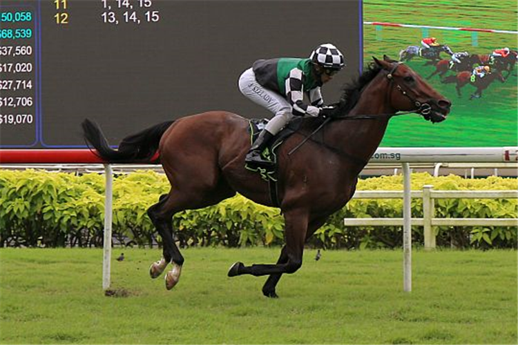 NEPEAN winning the KRANJI STAKES A