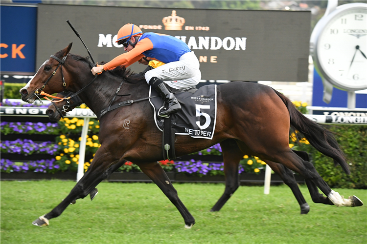 NETTOYER winning the Moet & Chandon Queen Of The Turf Stakes at Randwick in Australia.