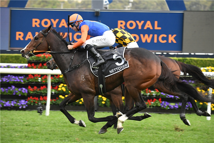 NETTOYER winning the Queen Of The Turf Stakes at Randwick in Australia.