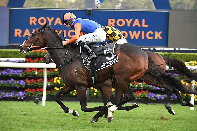 NETTOYER winning the Moet/Chandon Queen Of The Turf