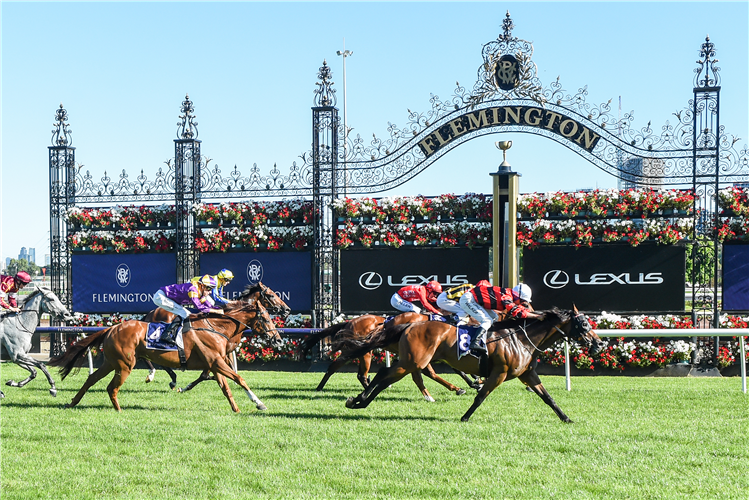 NEVER AGAIN winning the Chester Manifold Stakes at Flemington in Australia.