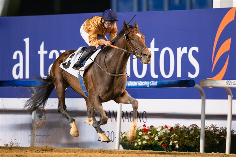 NEW TRAILS winning the Curlin Stakes Sponsored By New Jaguar F-Pace