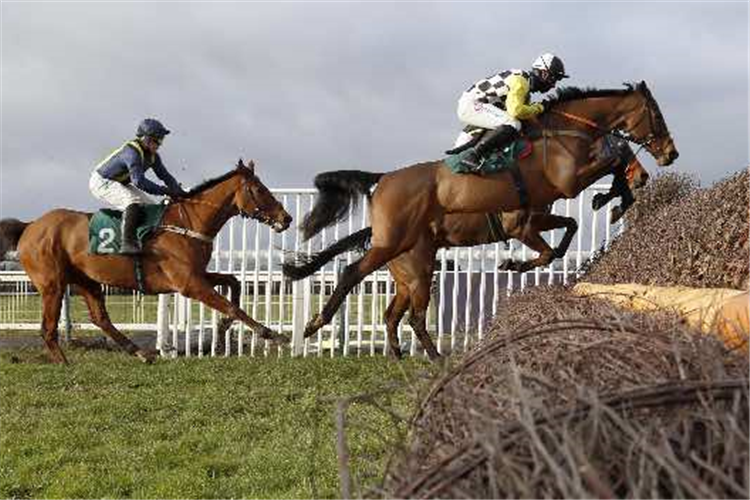 NEXT DESTINATION winning the McCoy Contractors Civils And Infrastructure Hampton Novices' Chase (Grade 2)