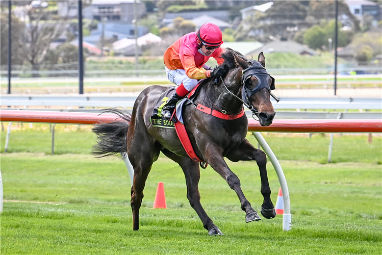 NIGHT ECLIPSE winning the Umbers Electrical Maiden Plate in Warrnambool, Australia. 