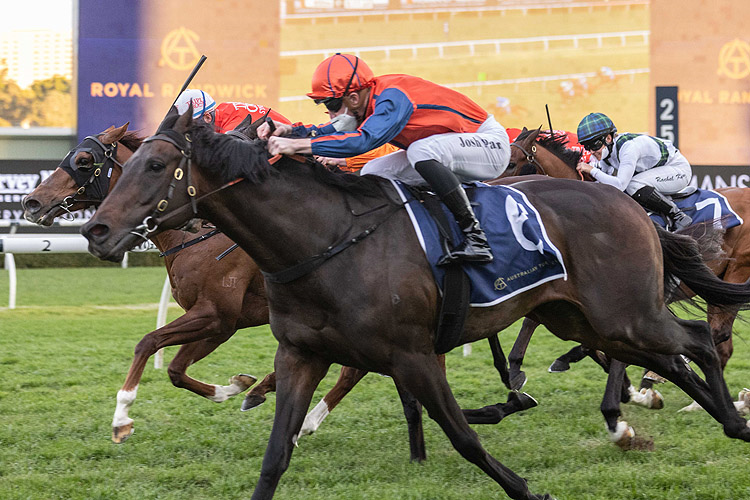 NIGHT OF POWER winning the Atc Thank You Trainers (Bm78)