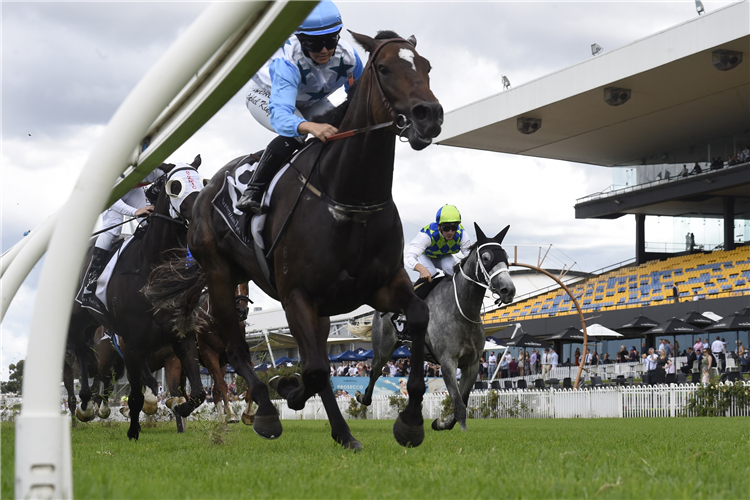 NIMALEE winning the Nsw Jockeys Association-Bm100 at Rosehill in Australia.