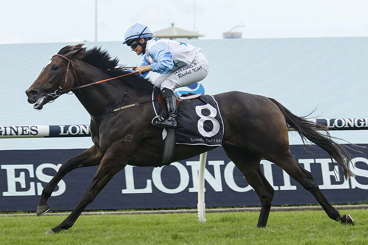 NIMALEE winning the Nsw Jockeys Association-Bm100