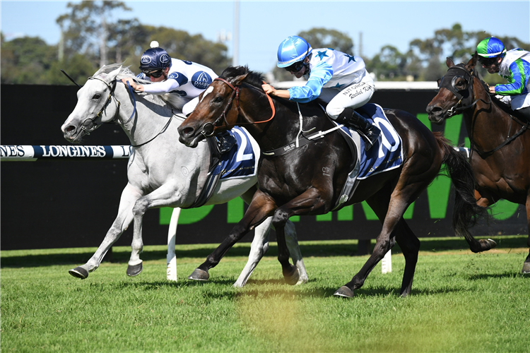 NIMALEE (light blue cap) winning the Tulloch Stakes at Rosehill in Australia.