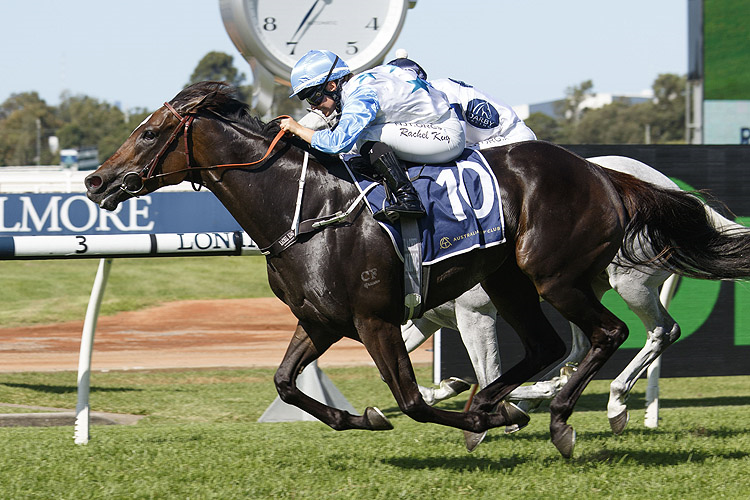 NIMALEE winning the Canadian Club Emancipation