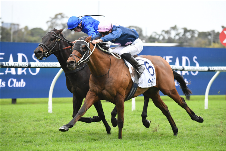 NO COMPROMISE winning the Acy Securities (Bm78) at Rosehill in Australia.