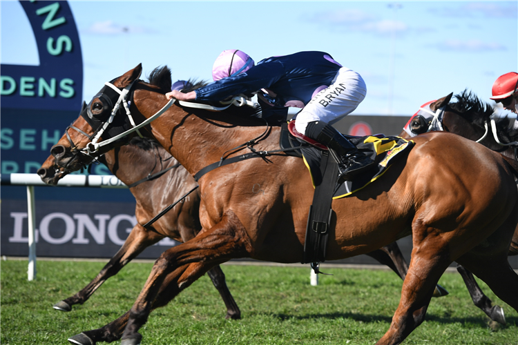 NO COMPROMISE winning the Schweppes (Bm78) at Rosehill in Australia.