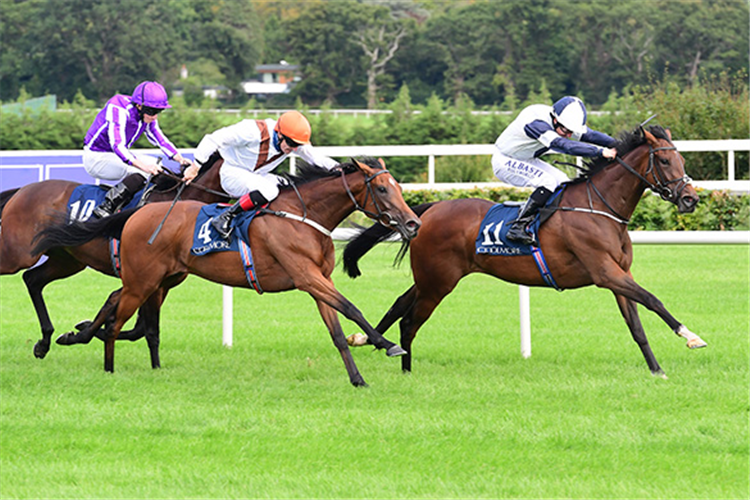 NO SPEAK ALEXANDER winning the Coolmore America 'Justify' Matron Stakes (Fillies' And Mares' Group 1)