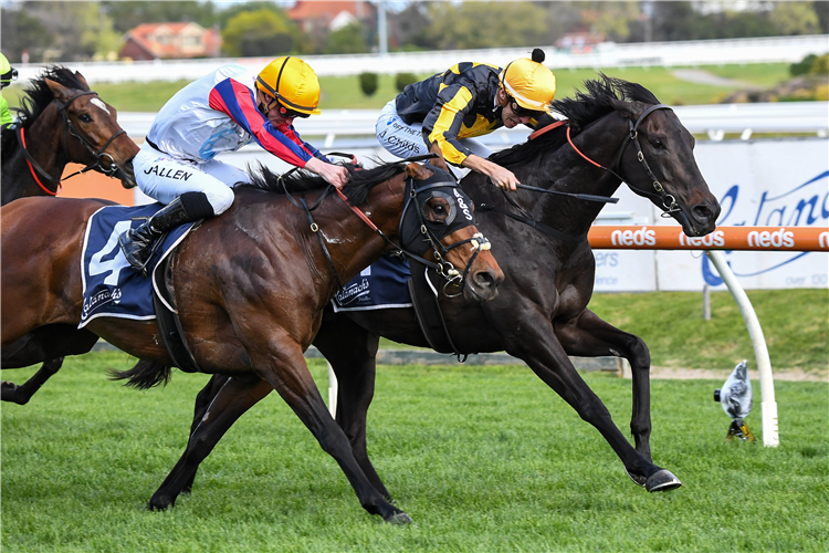 NONCONFORMIST winning the MRC Foundation Cup at Caulfield in Australia.