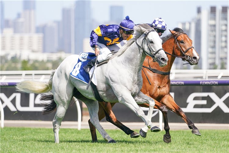 NOT TO BE MIST winning the Furphy Festive Sprint (Bm84) at Flemington in Australia.