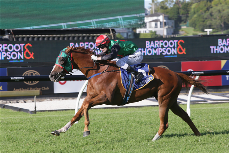 OCEAN BILLY winning the Barfoot&Thompson Auckland Cup