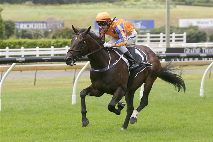 ON THE BUBBLES winning the Norwegian Park 2yo