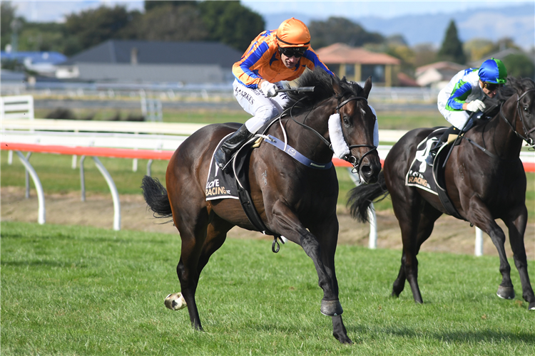 ON THE BUBBLES winning the Manawatu Sires Produce Stakes