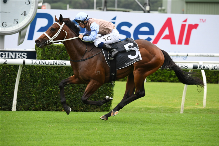 O'PRESIDENT winning the Precise Air Skyline Stakes at Randwick in Australia.