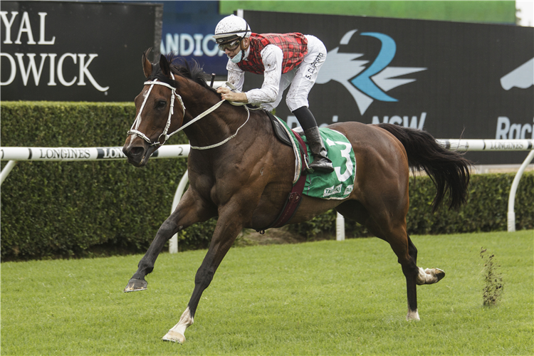 ORDER AGAIN winning the Maroubra (Bm100) at Randwick in Australia.