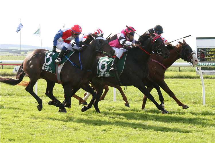 Our Boy Ritchie (centre) winning the Listed Riverton Cup (2147m) for the Kelvin and Aimee Tyler training partnership