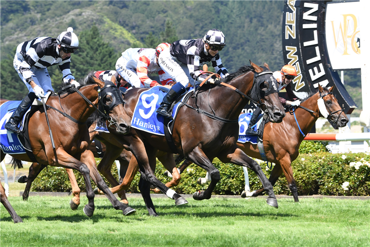 OUR HAIL MARY winning the Dixon & Dunlop Trentham Stakes