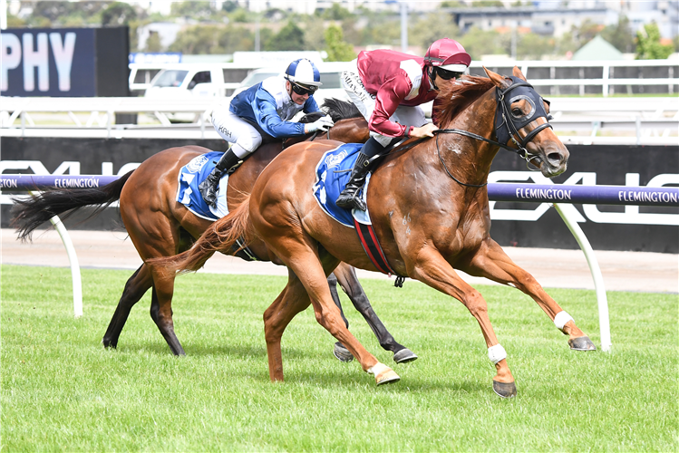 OVER EXPOSURE winning the Furphy Refreshing Ale Trophy at Flemington in Australia.