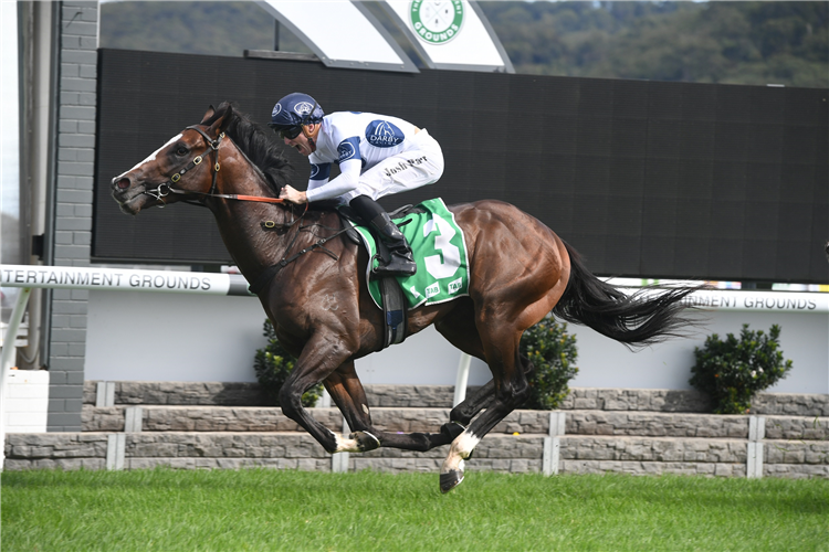 OVERPASS winning the Central Coast Granite Hcp at Gosford in Australia.