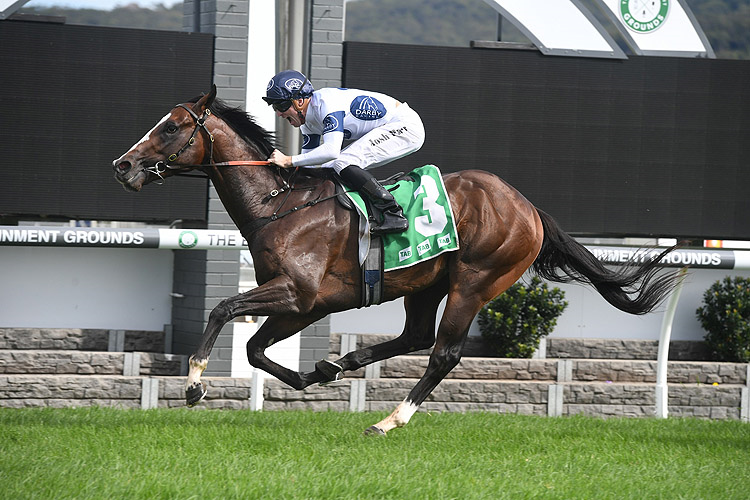 OVERPASS winning the Central Coast Granite Hcp