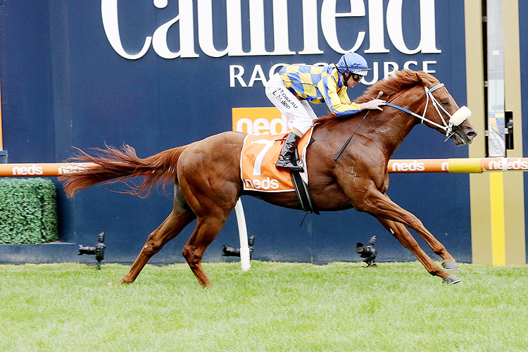 OXLEY ROAD winning the Neds Zeditave Stakes