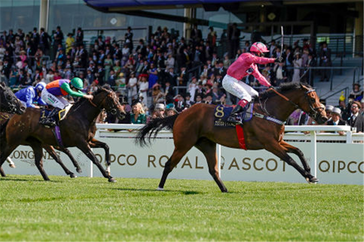 OXTED winning the King's Stand Stakes at Ascot in England.