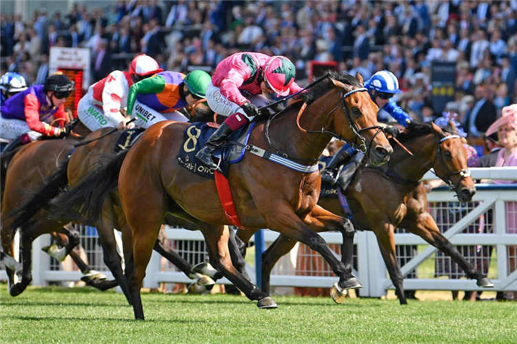 OXTED winning the King's Stand Stakes (Group 1) (British Champions Series)