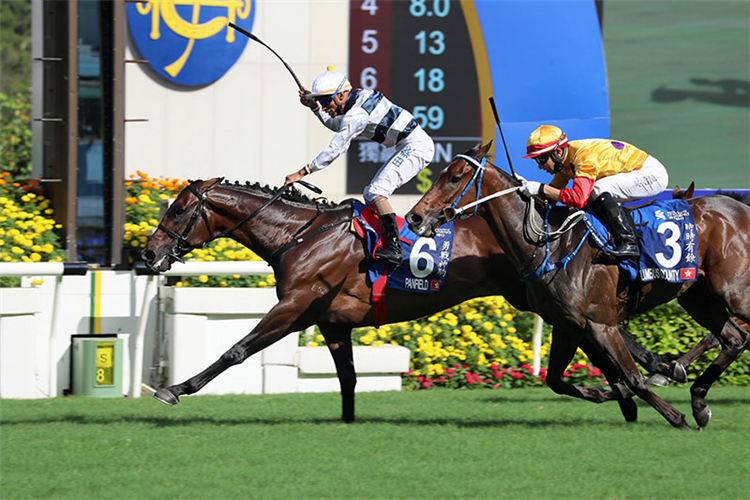 PANFIELD winning the Standard Chartered Chater Cup