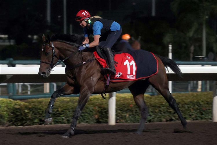 PANFIELD during Longines Hong Kong International Races Trackwork session
