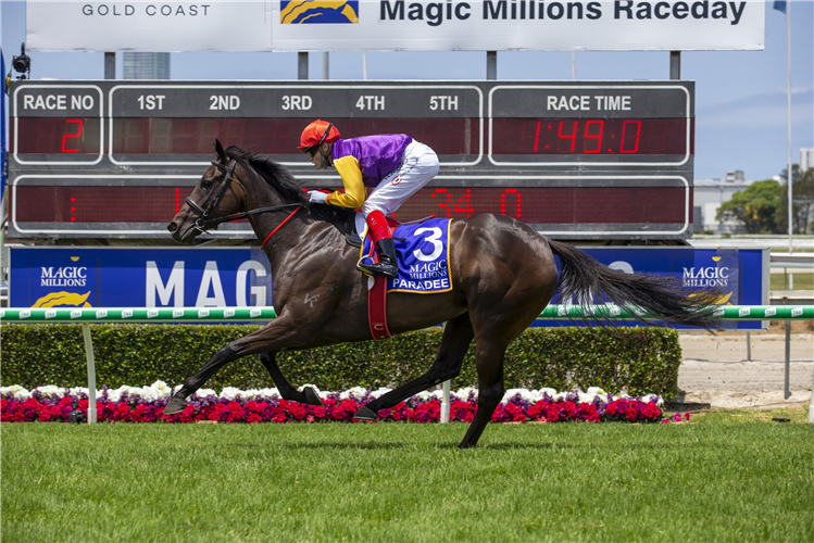 PARADEE winning the Magic Millions Qlty at the Gold Coast in Australia.