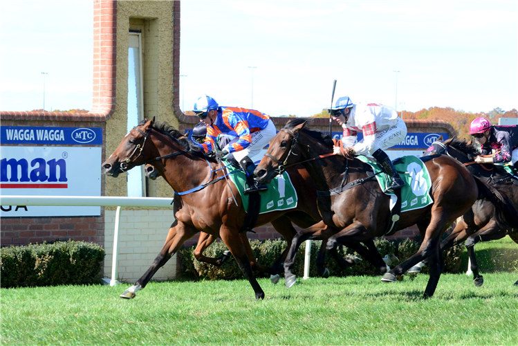 PARTICIPATOR winning the Audi Centre Wagga Hcp