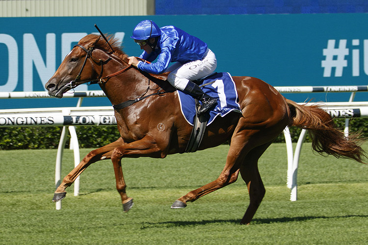 PAULELE winning the Widden Kindergarten Stakes