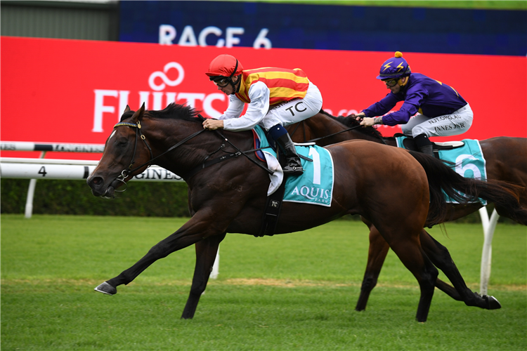 PELTZER winning the Aquis Eskimo Prince Stks at Randwick in Australia.