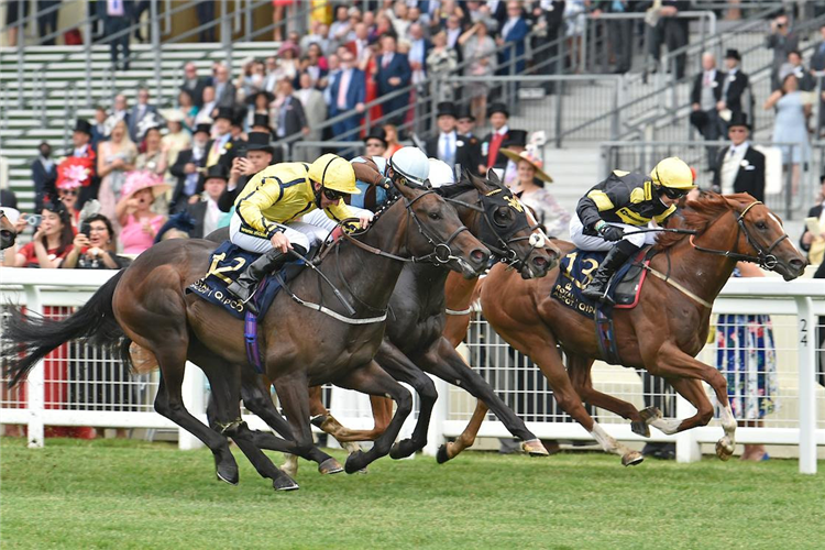 PERFECT POWER(yellow silks) winning the Norfolk Stakes (Group 2)