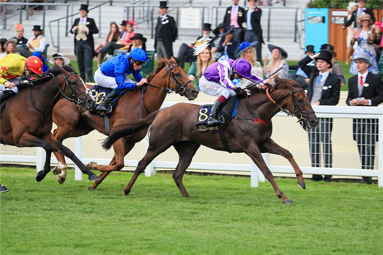 PEROTTO winning the Britannia Stakes (Heritage Handicap) (Str)